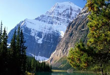 转会期体能课后，布鲁克林篮网官宣签约备战亚冠，目标明确，纪律约束更严格